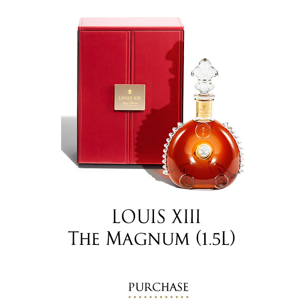 LOUIS XIII, think a century ahead