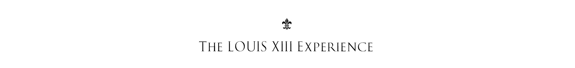 Louis XIII  iShopChangi